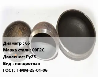 Заглушка стальная 65 Сталь: 09Г2С Ру25 поворотная ГОСТ: Т-ММ-25-01-06